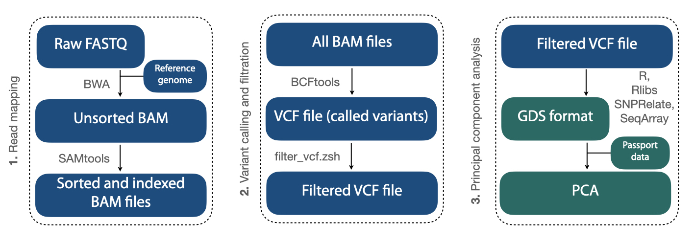 2024 GBStutorial flowchart
